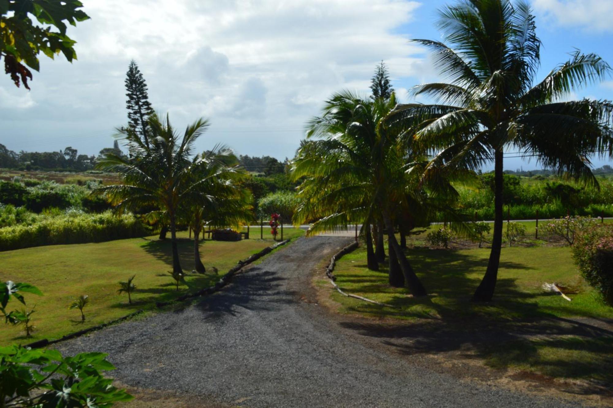 God'S Peace Of Maui Bed & Breakfast Makawao Rom bilde