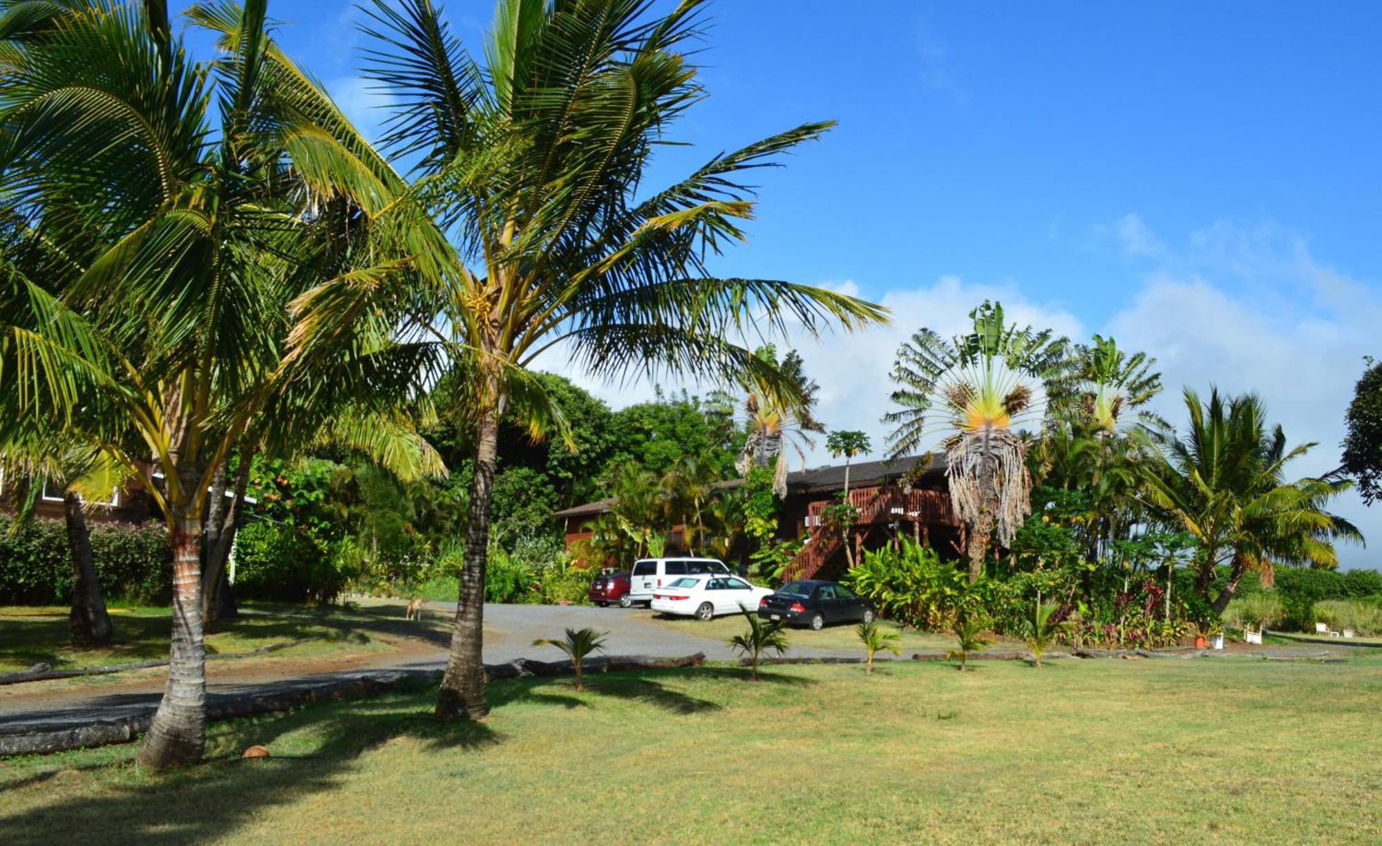 God'S Peace Of Maui Bed & Breakfast Makawao Rom bilde