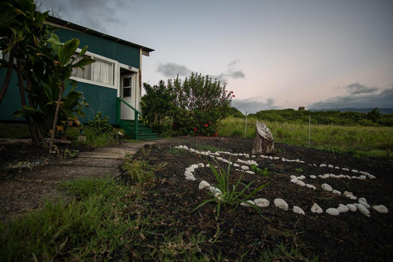 God'S Peace Of Maui Bed & Breakfast Makawao Eksteriør bilde