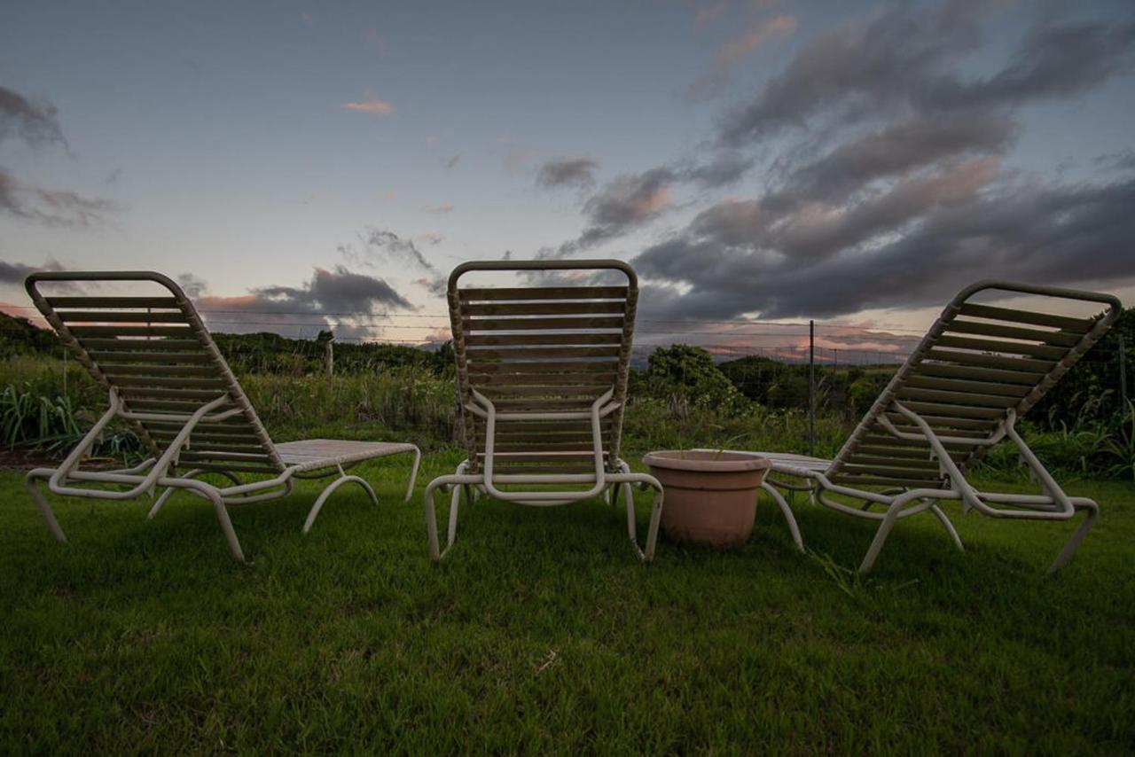 God'S Peace Of Maui Bed & Breakfast Makawao Eksteriør bilde