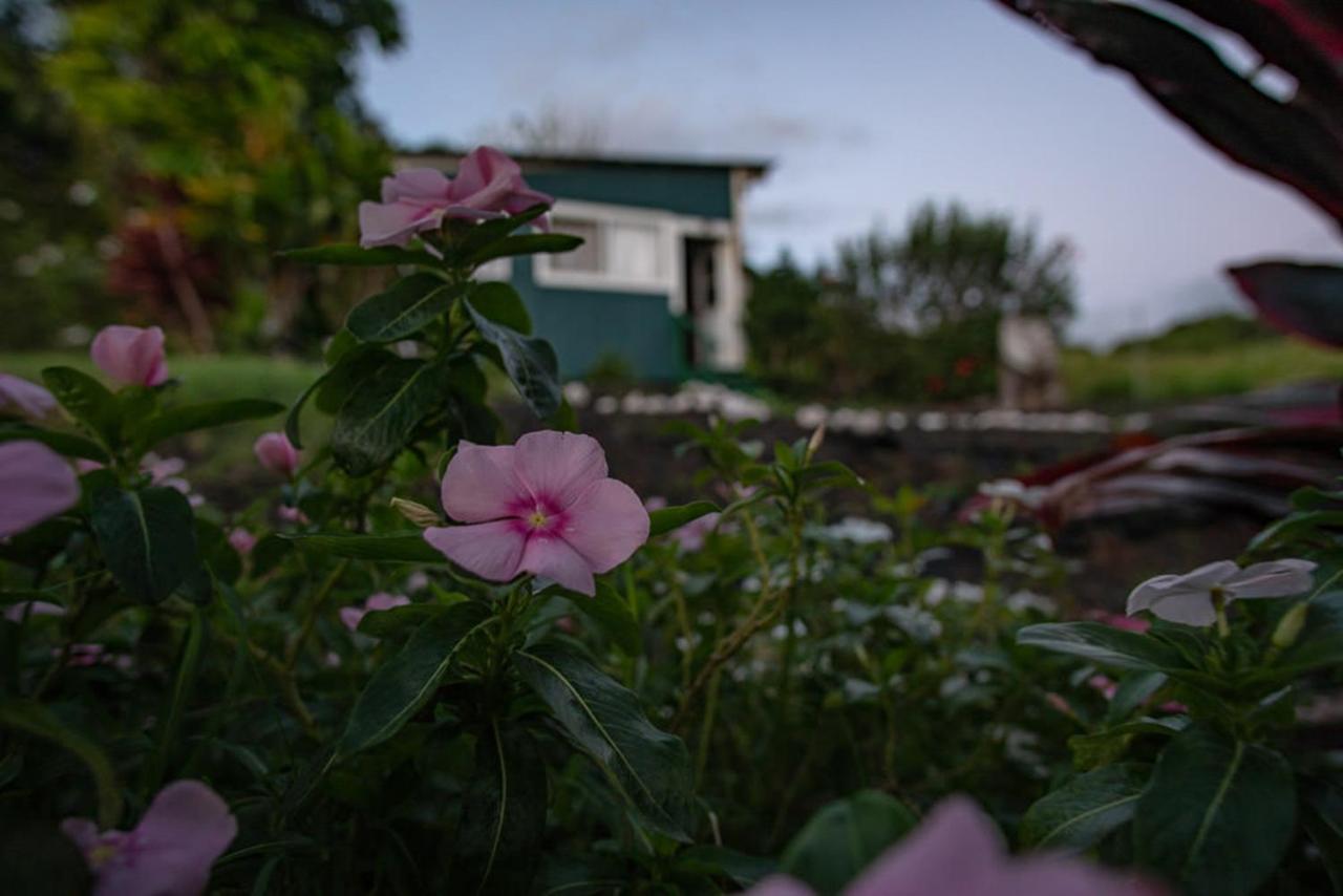 God'S Peace Of Maui Bed & Breakfast Makawao Eksteriør bilde